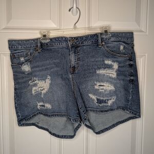 Torrid Women's Size 22 Distressed Denim Jean Shorts 4.5" Inseam EUC
